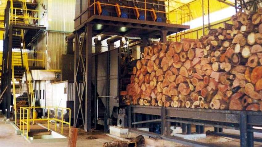 Logs Feeders Automated Feeding of Furnaces and Boilers | Lippel